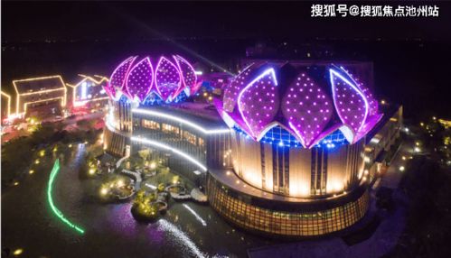 樱花高校派对下载最新版-樱花高校派对官网下载v.5.14